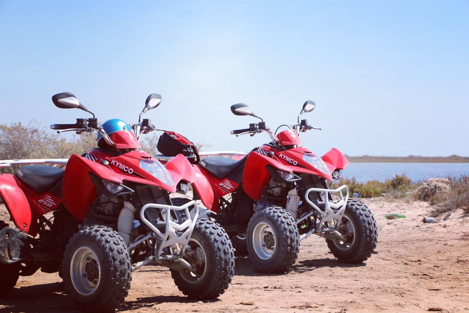 Balade en buggy