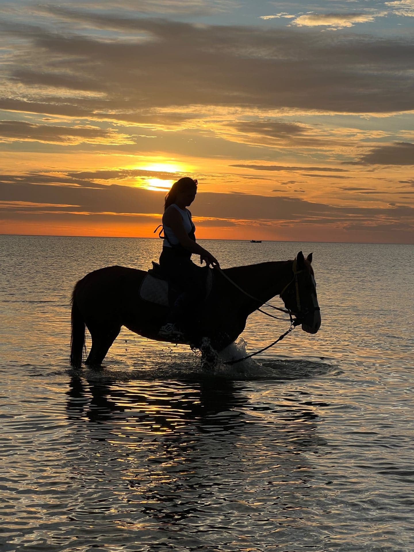 Sidi Jmour à cheval : la côte ouest de Djerba au coucher du soleil — 1