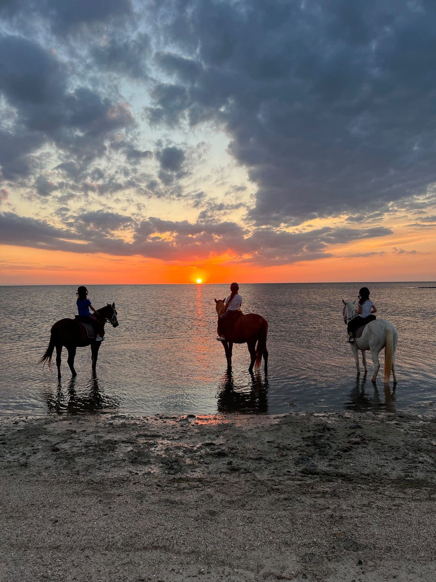 Sidi Jmour à cheval : la côte ouest de Djerba au coucher du soleil — 2