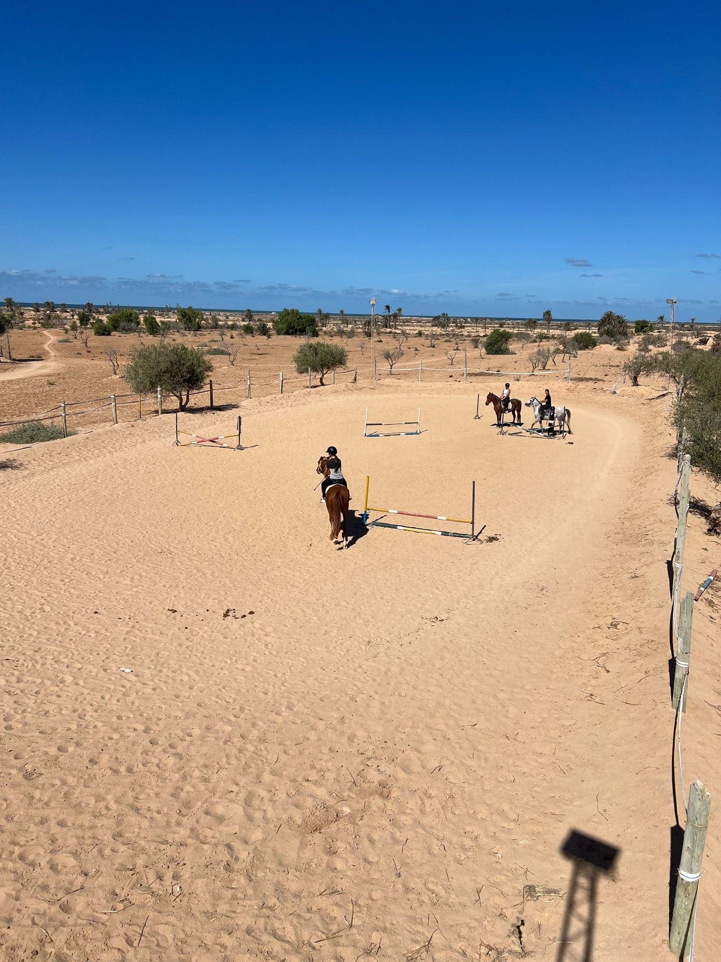 Sidi Jmour à cheval : la côte ouest de Djerba au coucher du soleil — 4
