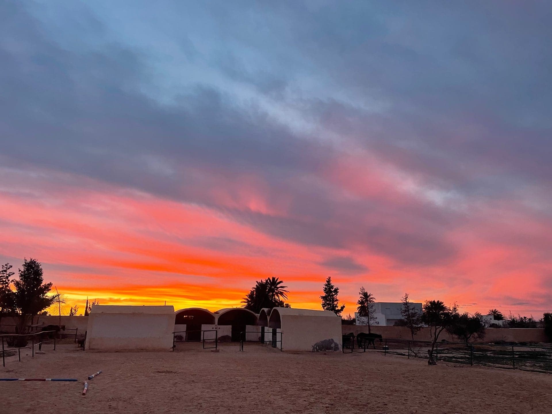 Sidi Jmour à cheval : la côte ouest de Djerba au coucher du soleil — 5