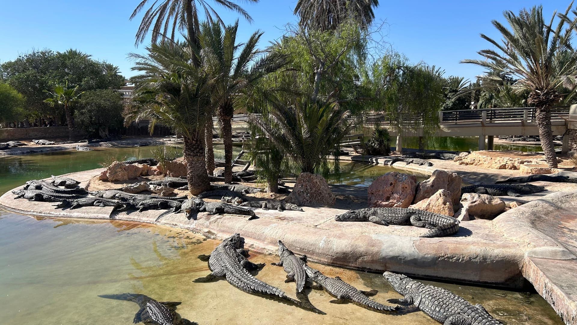 La ferme aux crocodiles de Djerba — crocodiles, reptiles et musées, transfert hôtel compris