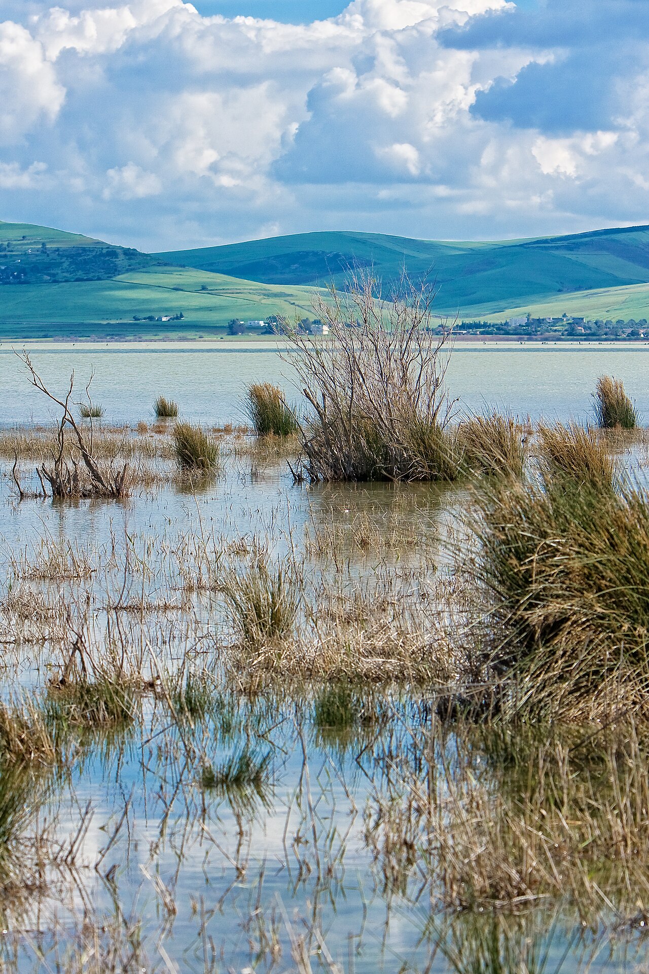Lac Ichkeul
