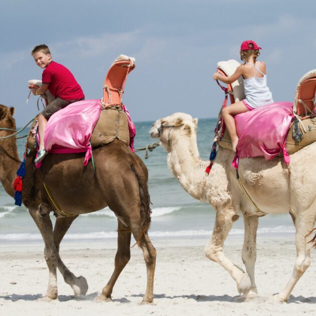 Balade à dos de dromadaire