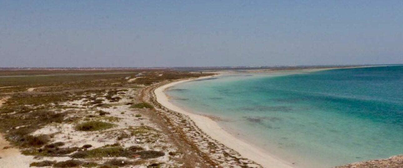 a beach with sand and water