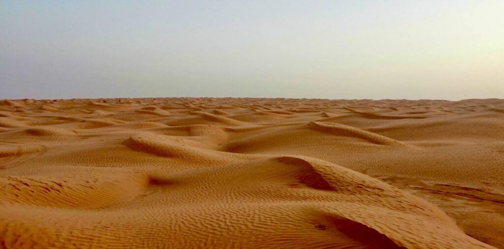 Wüsten-Tagesausflug von Djerba nach Ksar Ghilane