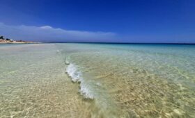Odkryj ukryte skarby Djerby: plaże Seguiya i Lella Hadhriya Dżerbie,l'Île aux Flamants Roses Plaże na Djerbie