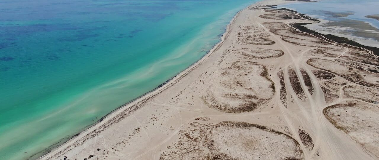 Discover flamingo island: An unspoilt paradise in Djerba Djerba beaches Djerba beaches