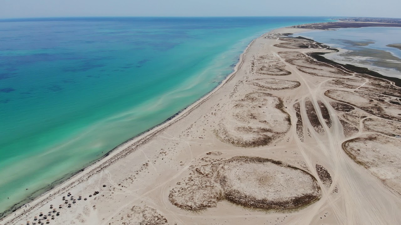 D Couvrez L Le Aux Flamants Roses Un Paradis Pr Serv Djerba