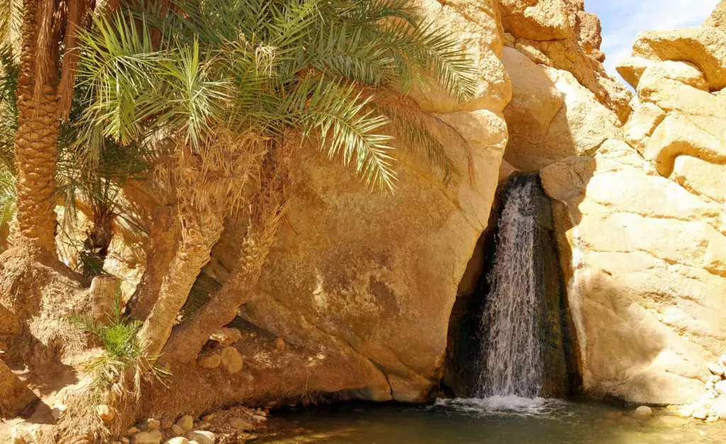 chebika waterfall