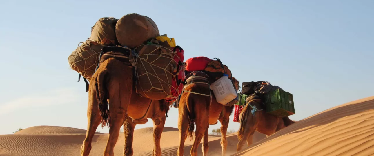 excursion desert tunisie