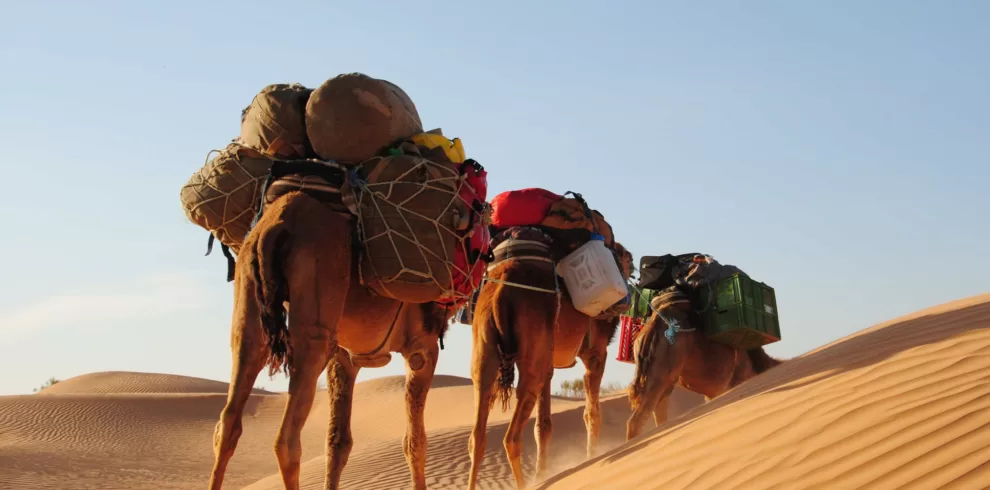 excursion desert tunisie