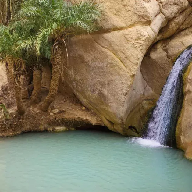 Excursion to Tozeur and the Mountain Oases: Discover Southern Tunisia in Depth djerba holiday