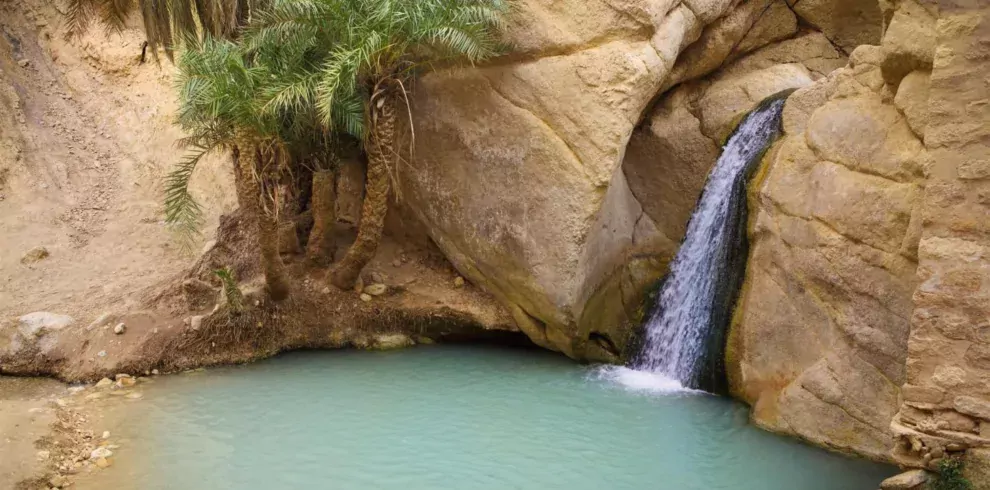 Excursion à Tozeur et les Oasis de Montagne : Découvrez le Sud Tunisien en Profondeur Djerba,Aktivitäten,Spaziergänge,Ausflüge