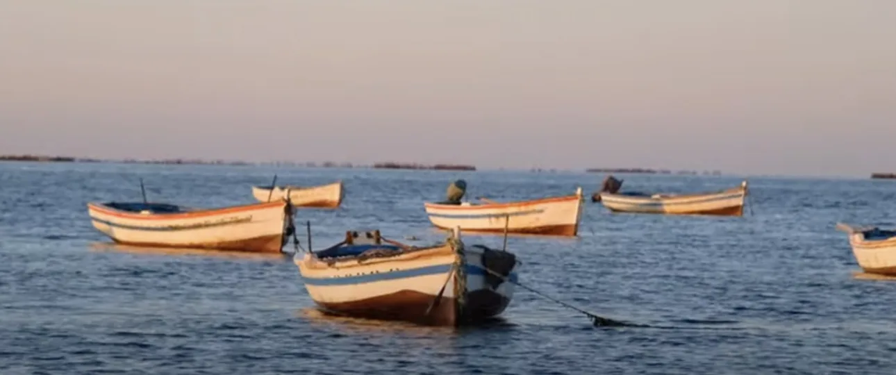 several boats in the water