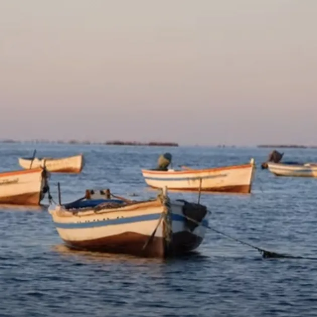 several boats in the water
