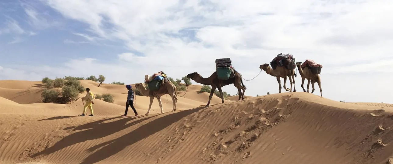 Caravane de chameaux traversant les dunes du Sahara tunisien avec des guides et des touristes