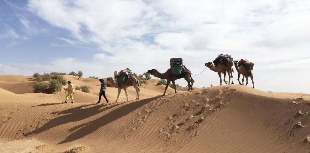 Caravane de chameaux traversant les dunes du Sahara tunisien avec des guides et des touristes