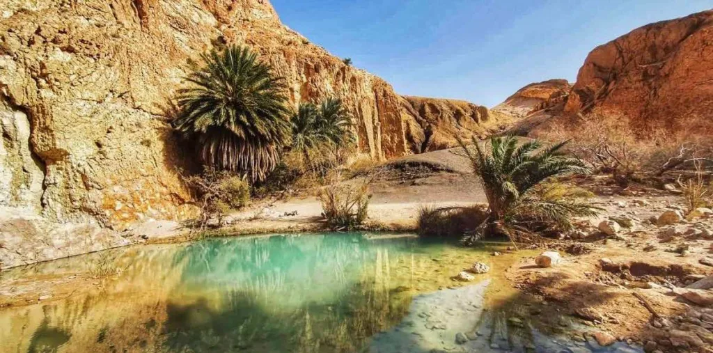 oasis-désert-tunisien