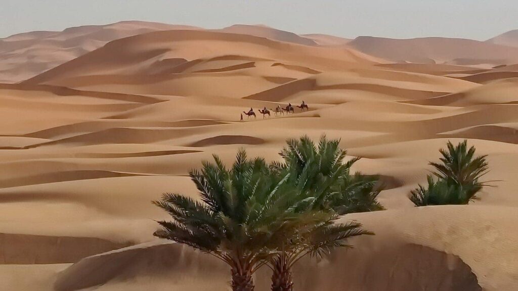 les dunes de sable de desert