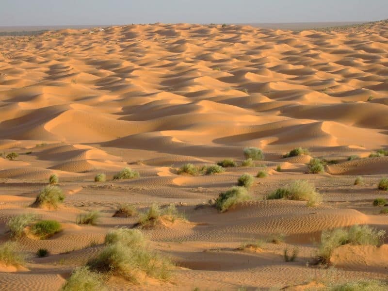 les dunes de sable du desert de tembeiine a douz
