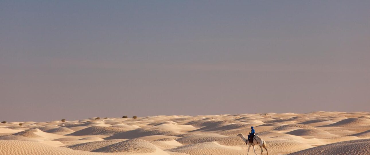 Vue panoramique de Douz, la porte du désert tunisien, au lever du soleil. Les dunes de sable s'étendent à perte de vue, contrastant avec le ciel azur. Au premier plan, des palmiers et quelques structures traditionnelles peuplent le paysage, évoquant une oasis de tranquillité.