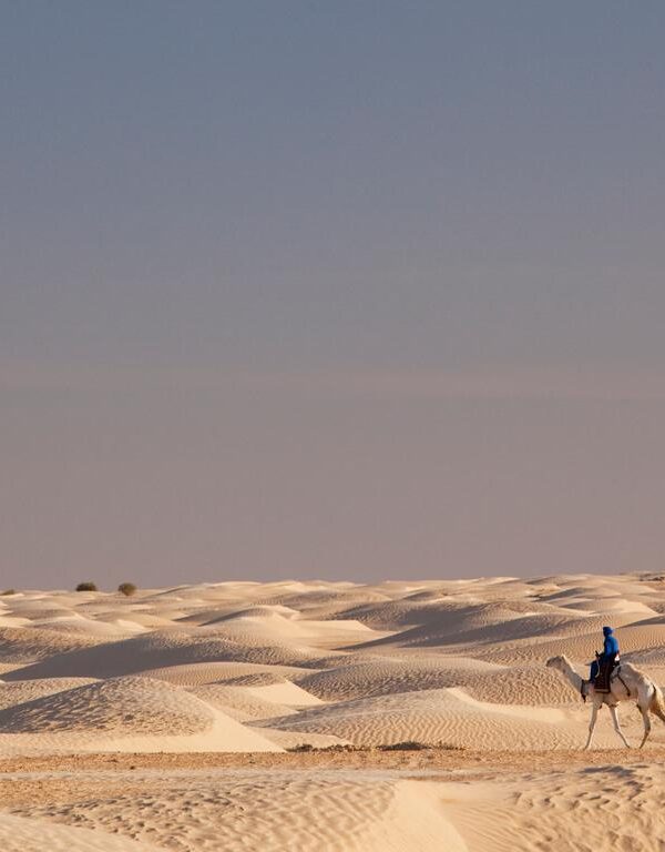 Vue panoramique de Douz, la porte du désert tunisien, au lever du soleil. Les dunes de sable s'étendent à perte de vue, contrastant avec le ciel azur. Au premier plan, des palmiers et quelques structures traditionnelles peuplent le paysage, évoquant une oasis de tranquillité.