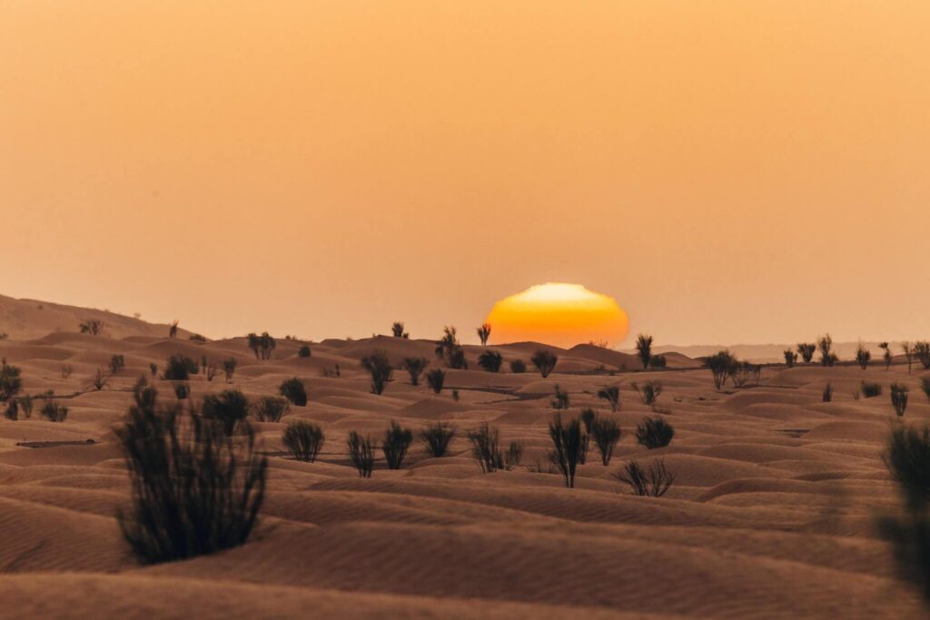 coucher de soleil au desert