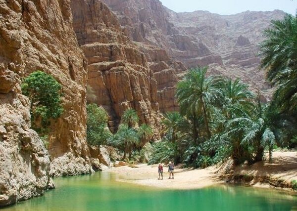 Oasis de montagne à Tozeur avec des palmiers luxuriants encadrant une eau calme et claire, entourés par des falaises rocheuses ocre.