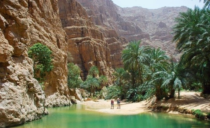 Oasis de montagne à Tozeur avec des palmiers luxuriants encadrant une eau calme et claire, entourés par des falaises rocheuses ocre.