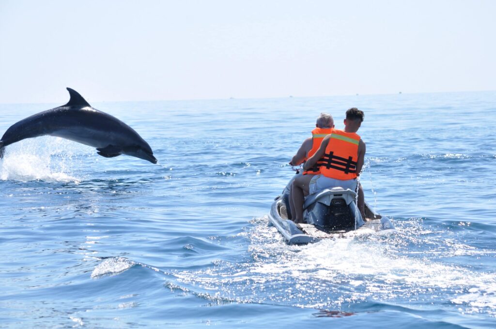 Touristes sur un jet ski observant un dauphin près de la plage de Djerba.