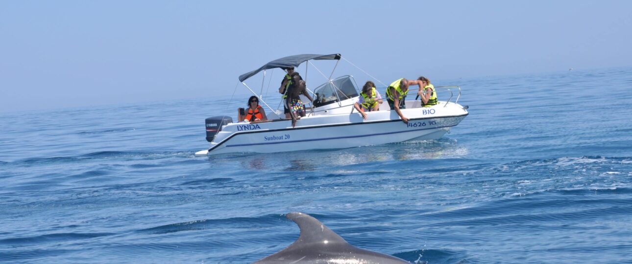 Djerba: Descubra as maravilhas marinhas durante nossas excursões de barco Moderado