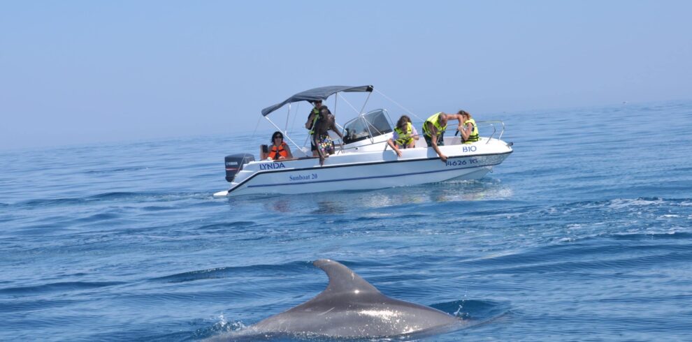 Djerba : Découvrez les merveilles marines lors de nos excursions en bateau