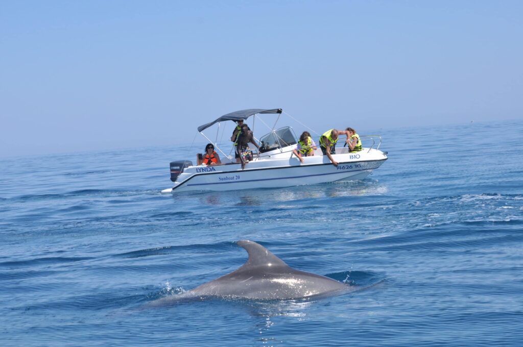 Famille de touristes sur un bateau observant un dauphin près de la plage de Djerba.