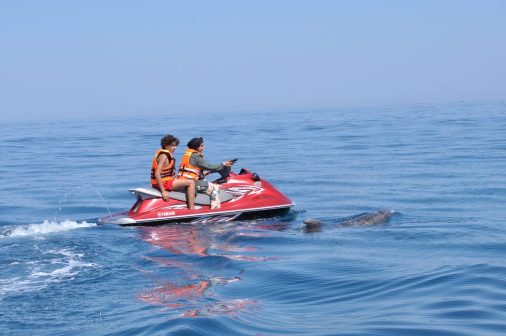 Touristes sur un Jet ski observant un dauphin nageant juste à coté