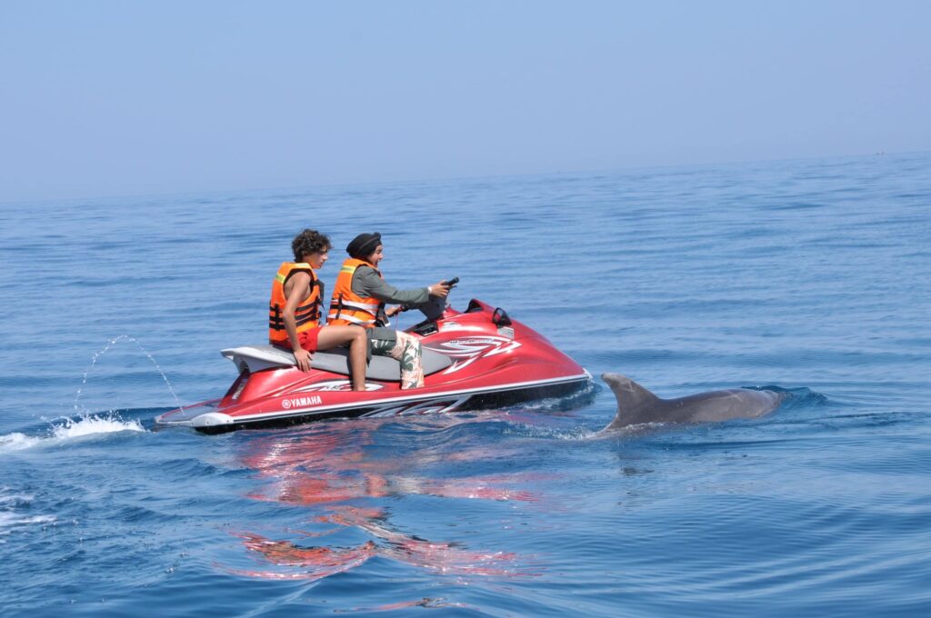 Touristes sur un Jet ski observant un dauphin nageant juste à coté