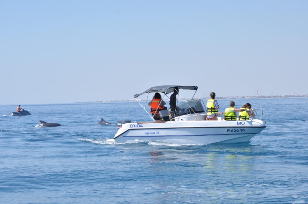 Famille de touristes sur un bateau observant un dauphin près de la plage de Djerba.