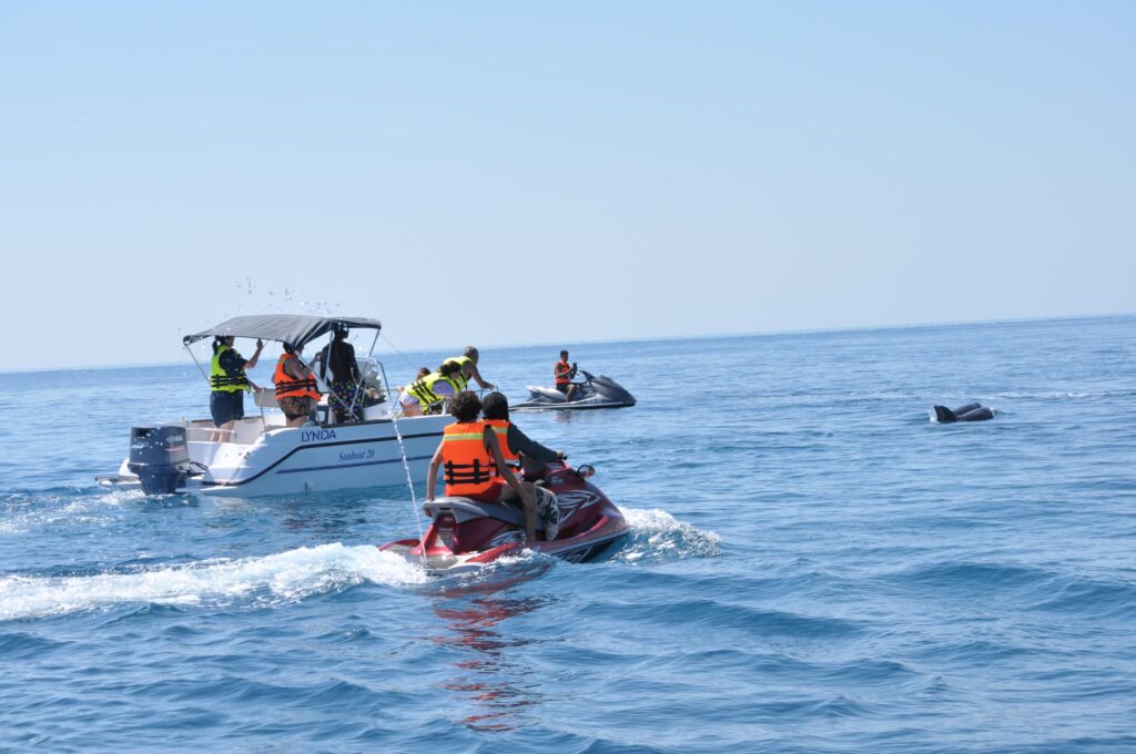 Famille de touristes sur un bateau et touristes sur un jet ski observant un dauphin près de la plage de Djerba.