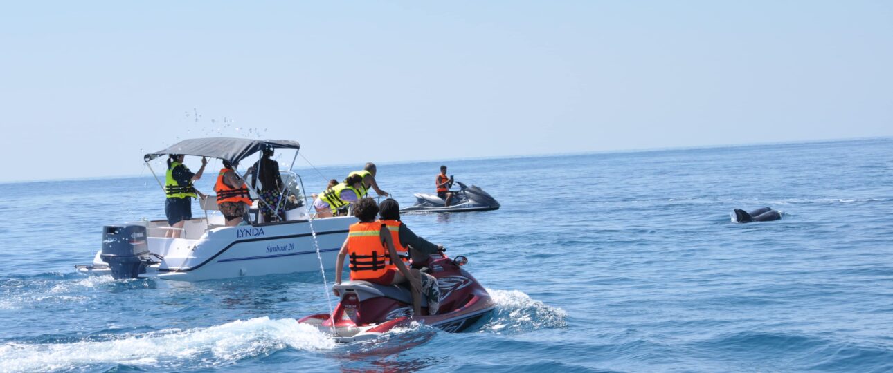 Famille de touristes sur un bateau et touristes sur un jet ski observant un dauphin près de la plage de Djerba.