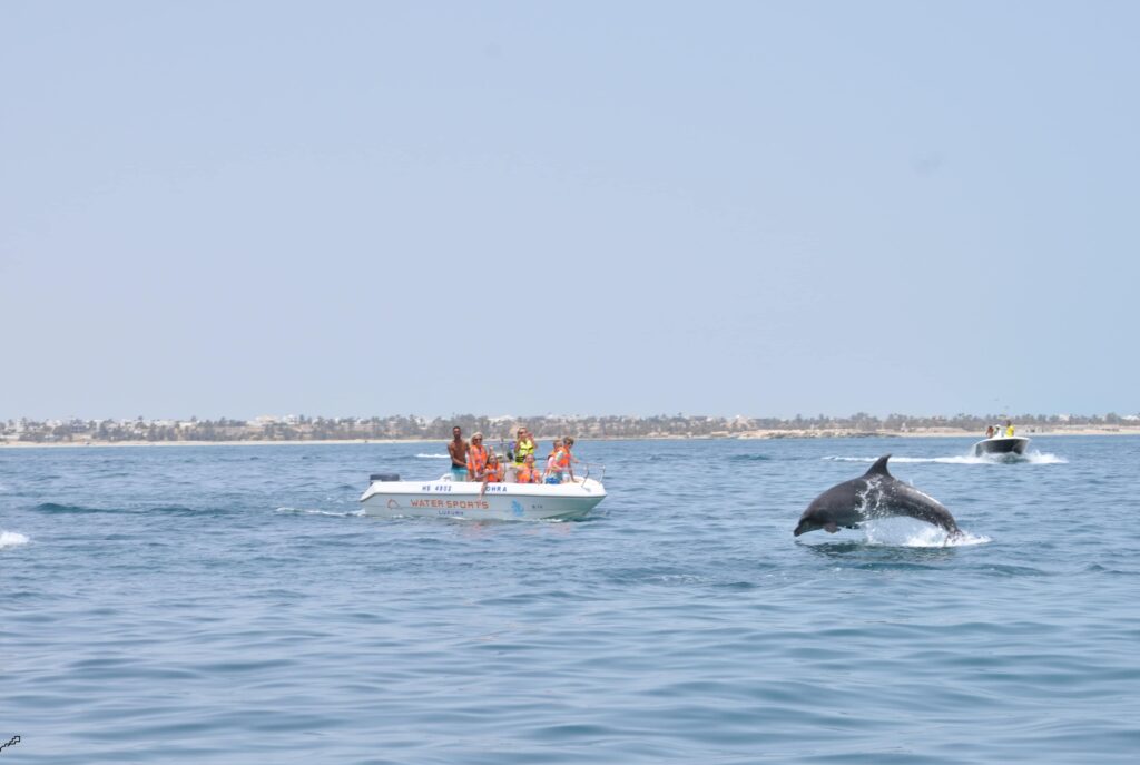Famille sur un bateau observant des dauphins plongeaient