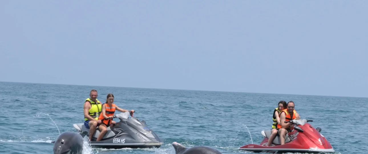 Avventura in Speedboat a Djerba: Osservazione dei Delfini dws