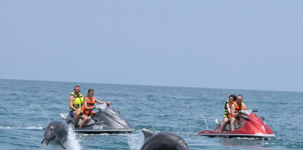Abenteuer mit dem Speedboat in Djerba: Beobachtung von Delfinen djerba