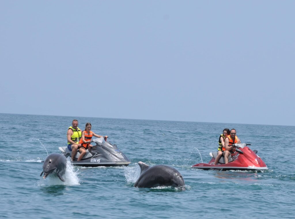 famille sur des jet ski observant des dauphins