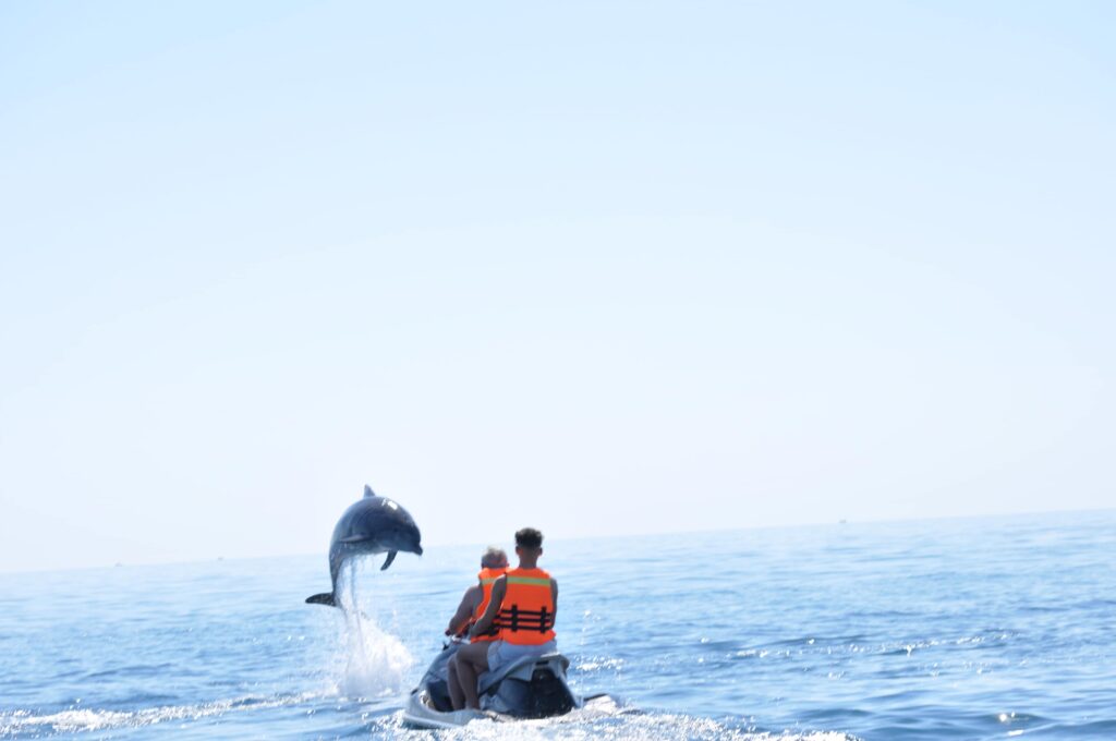 Dauphin sautant hors de l'eau à côté d'un jet ski à Djerba.
