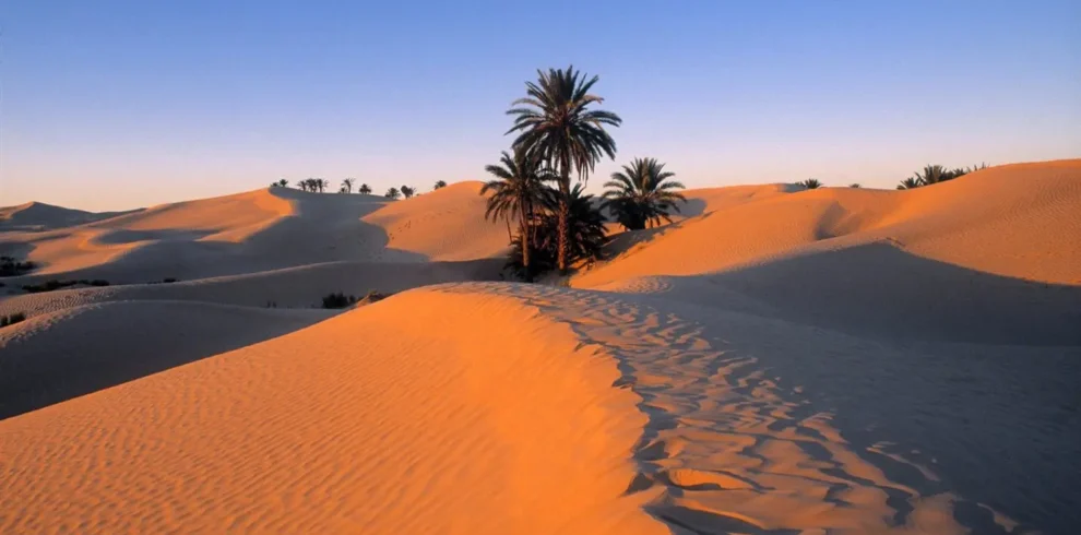 Guide pratique pour des vacances inoubliables à Djerba djerba