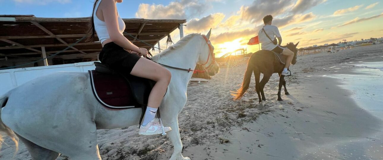 Stage d'équitation de 3 heures pour enfants et adultes débutants Moyen Moyen