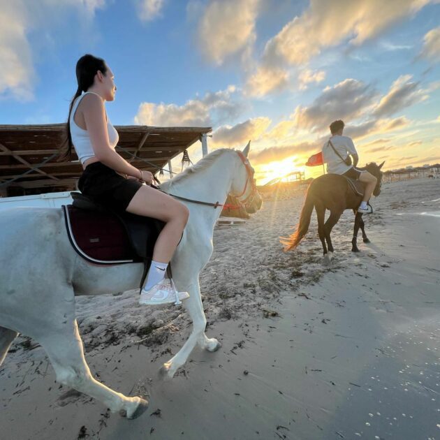 Un couple se laisse emporter par la magie d'une promenade à cheval sur les plages de Djerba, sous un ciel aux couleurs du coucher du soleil. Entre l'air frais, le climat agréable et la beauté du paysage, ils savourent chaque instant de tranquillité et de complicité .