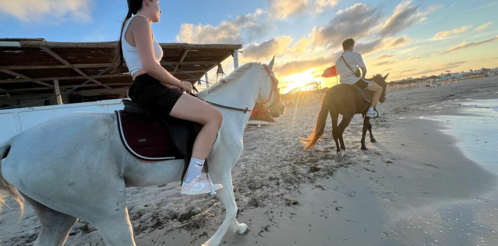 Stage d'équitation de 3 heures pour enfants et adultes débutants djerba